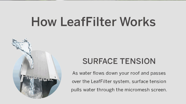 How LeafFilter Works | Surface Tension